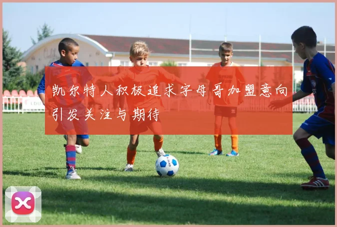 凯尔特人积极追求字母哥加盟意向引发关注与期待